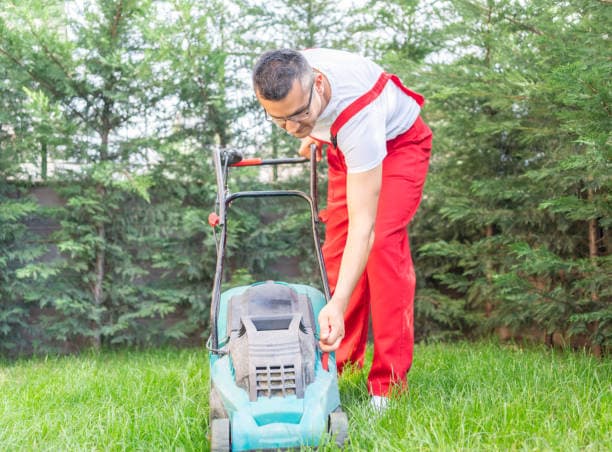 The Importance of Regular Lawn MThe Importance of Regular Lawn Maintenanceaintenance